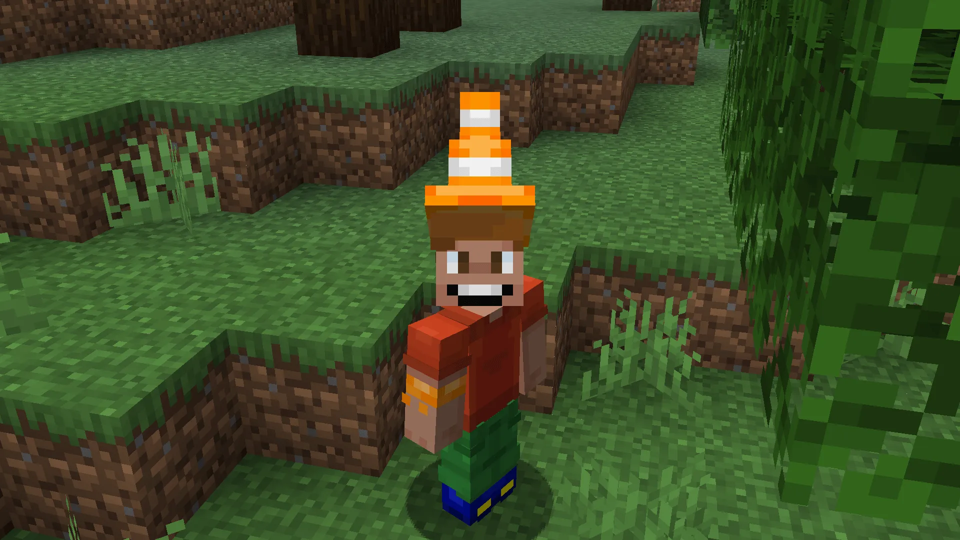 Wandering Hats, Моды, Minecraft