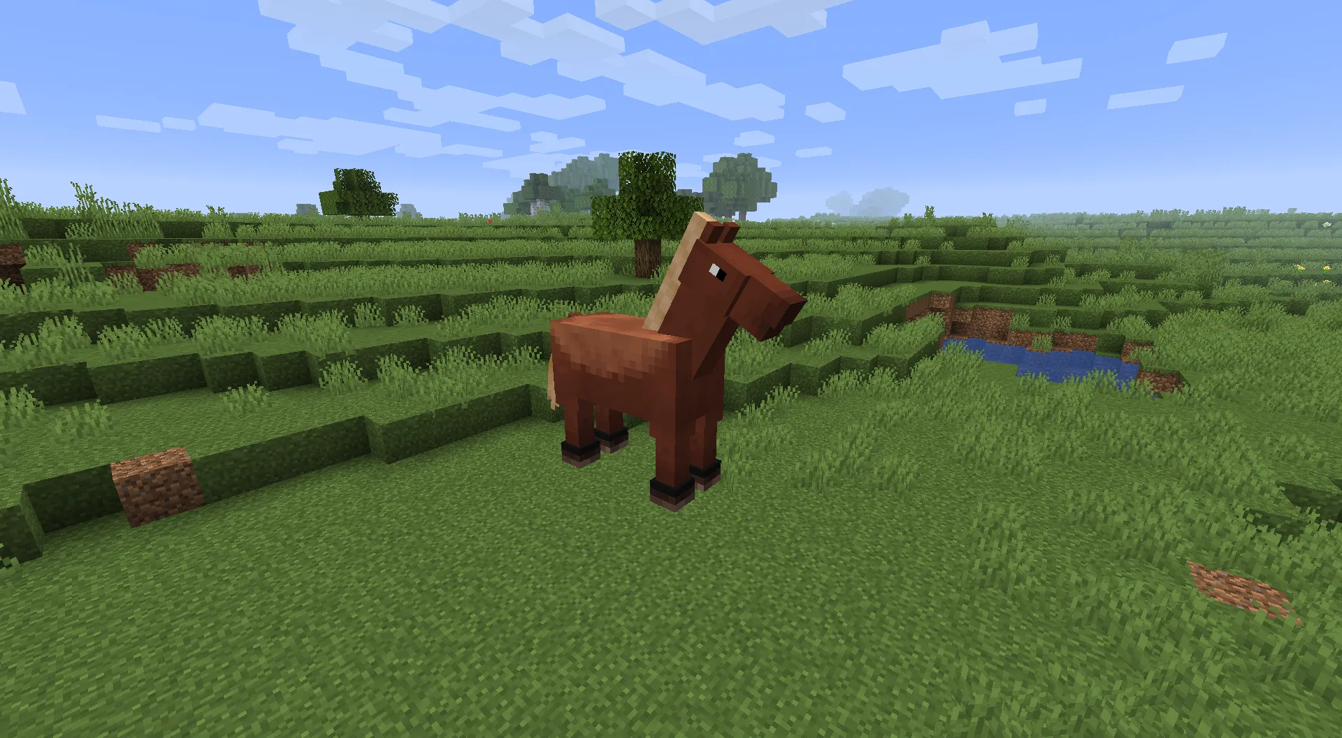 Old Horses in 1.13/1.14+ — скриншот 8 (Текстуры, Minecraft)