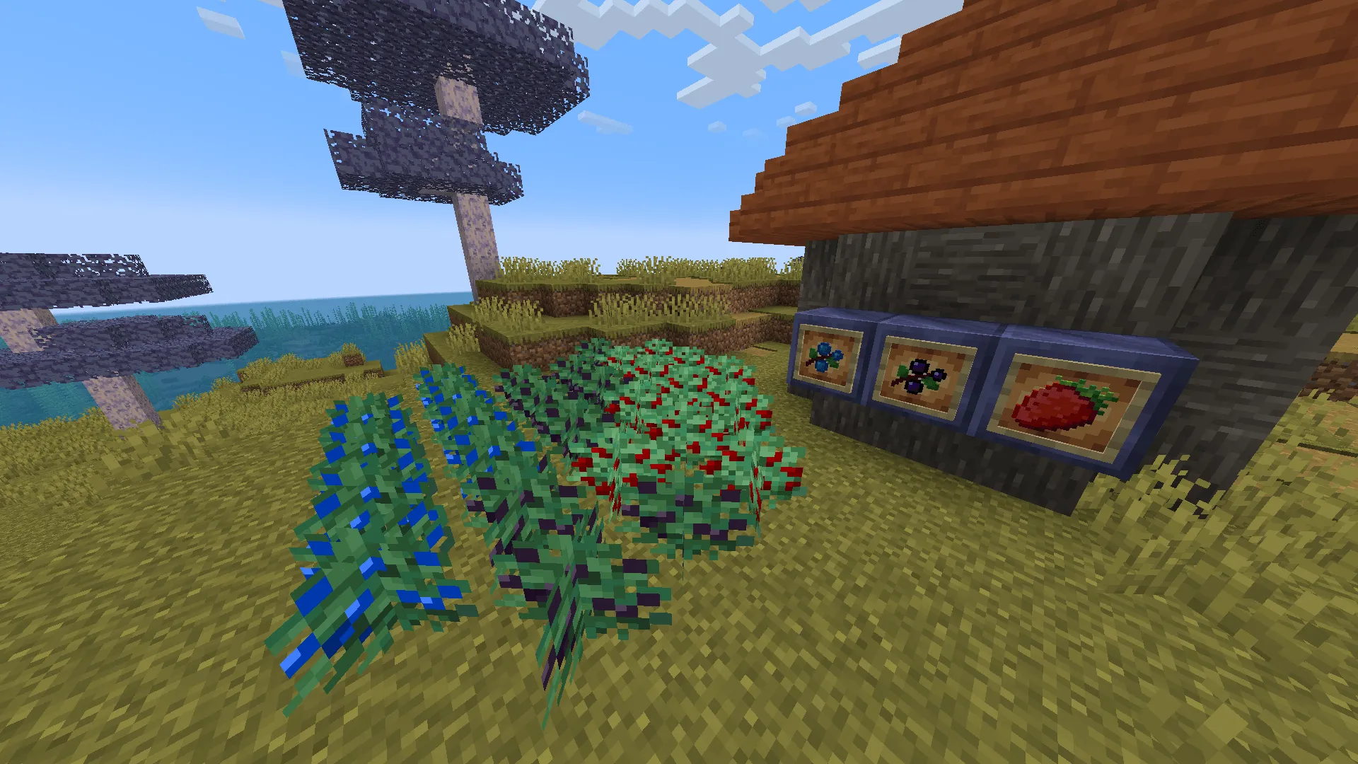 NeoBallerite, Моды, Minecraft