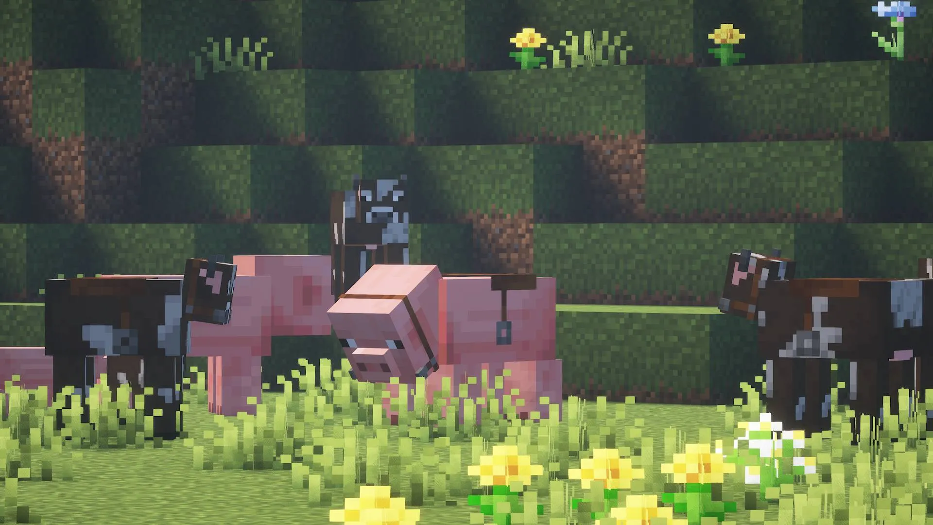 BlubWolf's Beyond Horses, Текстуры, Minecraft