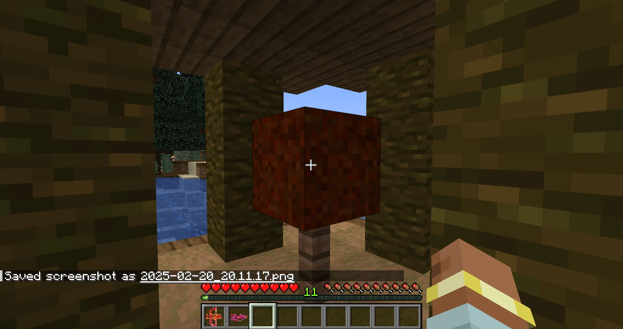 The Bacon Shrine, Моды, Minecraft