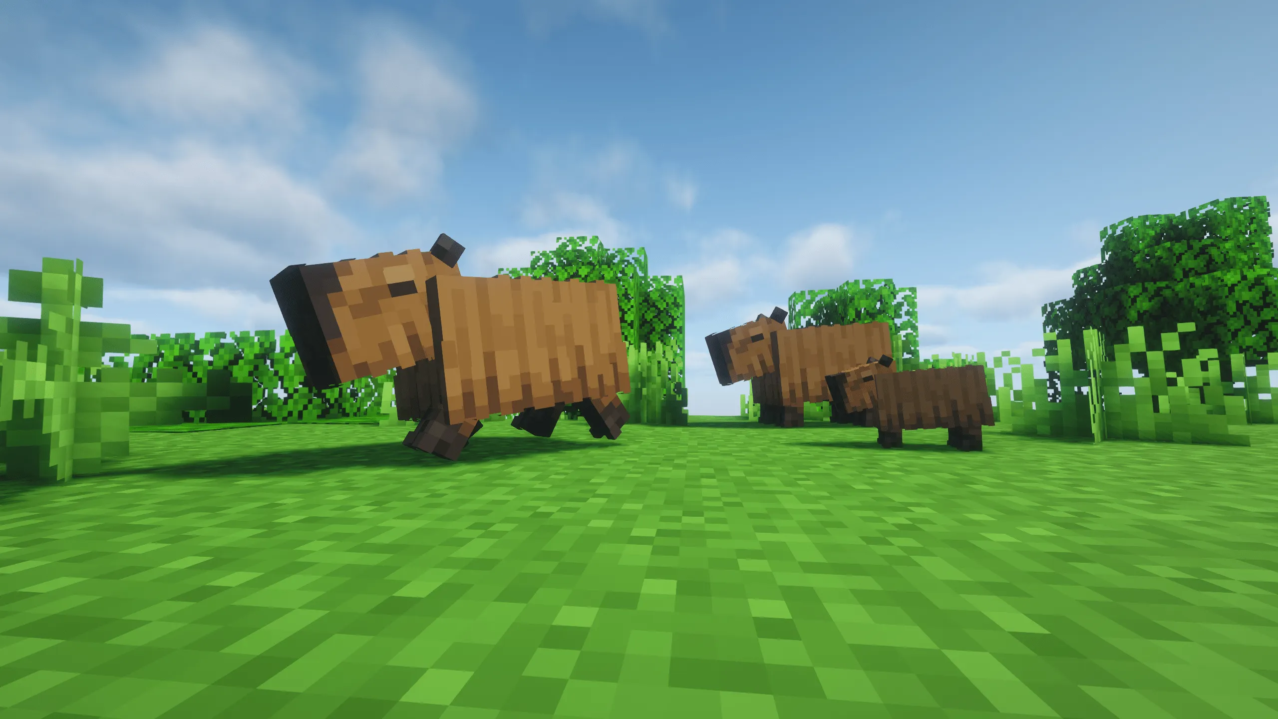 Re:Animal, Моды, Minecraft