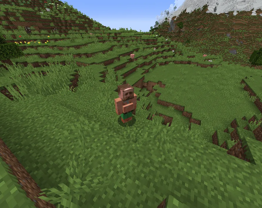 Enzo Tomasi, Моды, Minecraft