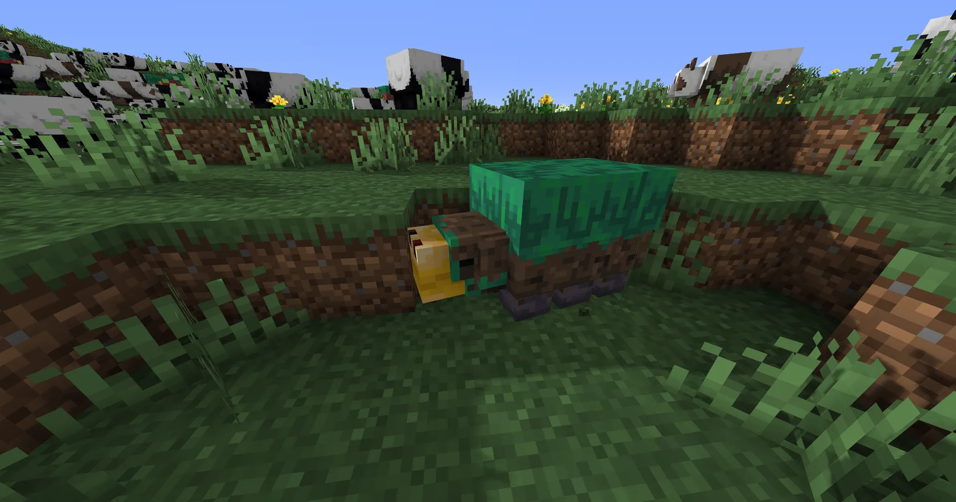 Shiny's Sniffers, Текстуры, Minecraft
