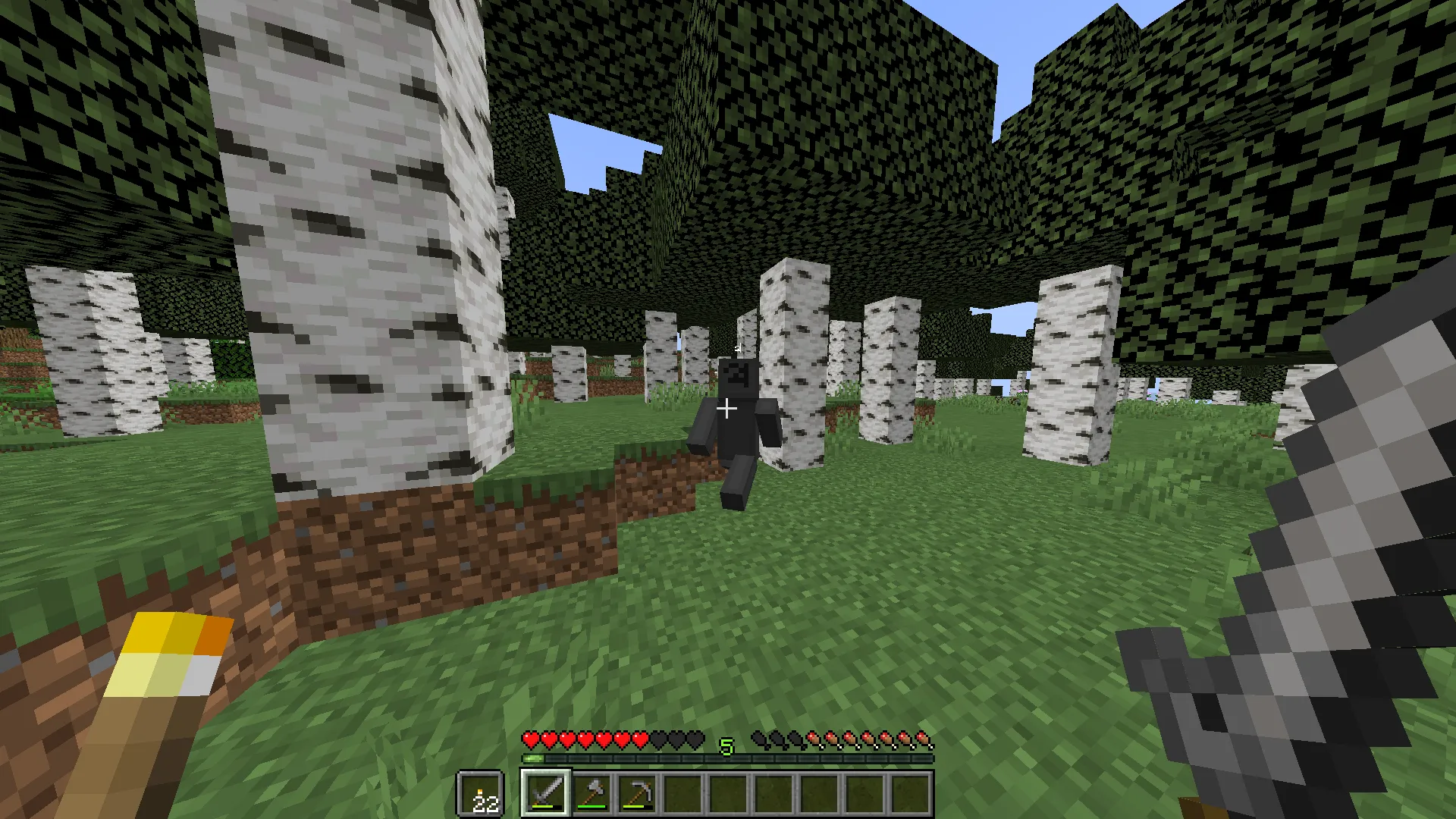 the multiversal arg 2, Моды, Minecraft