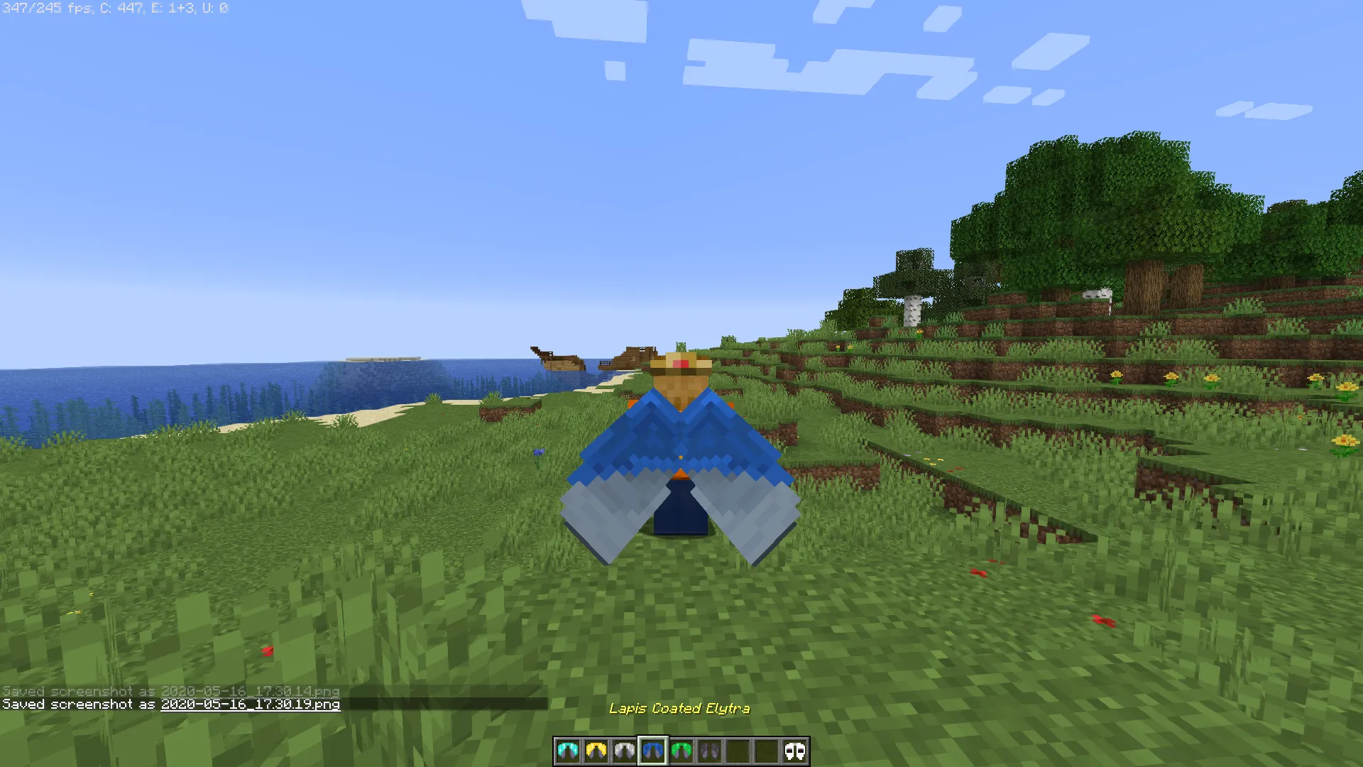 Cosmetic Elytra, Текстуры, Minecraft