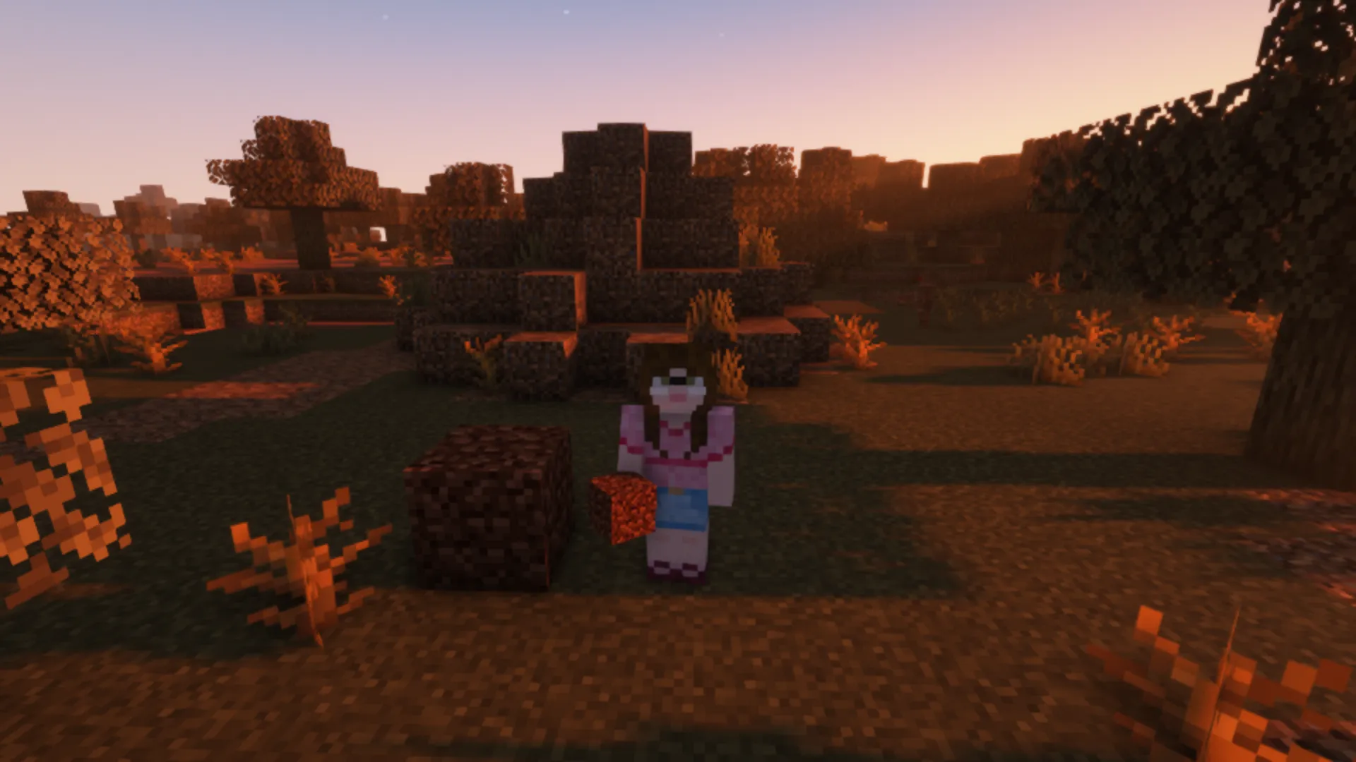 Caitie's Critters, Моды, Minecraft