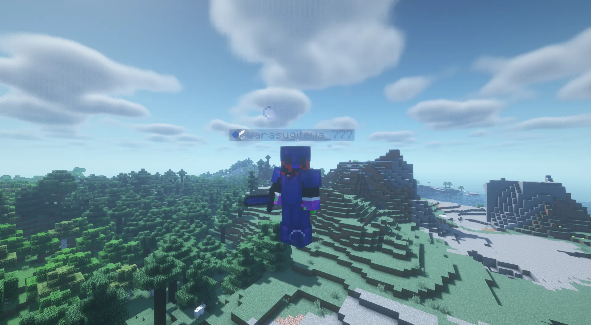 Wdiamondarmor, Текстуры, Minecraft