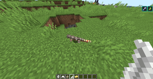 Koopa's Critters, Моды, Minecraft