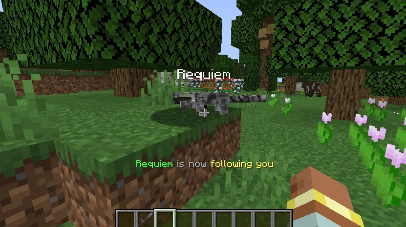 Tegu Adventure, Моды, Minecraft