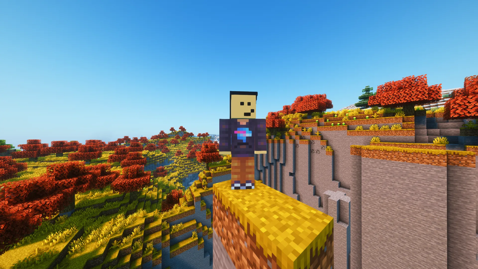 Barkity Into The Verse, Моды, Minecraft