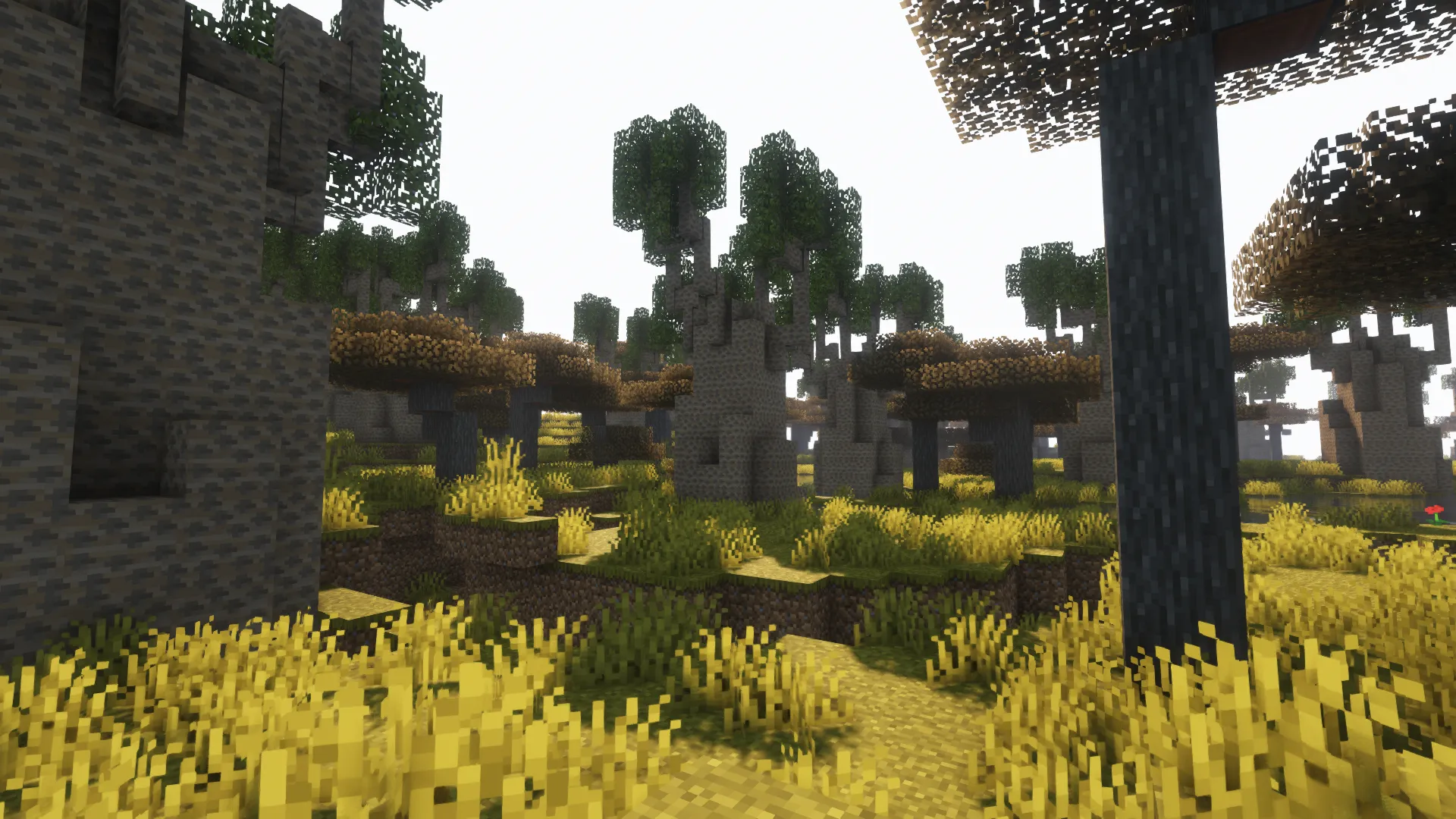 Biomes far away!, Моды, Minecraft