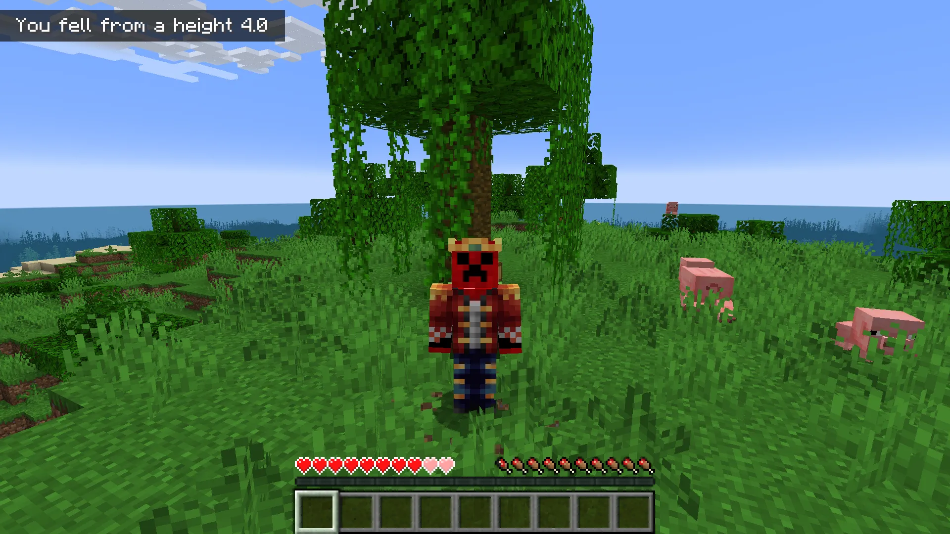 WhoHitMe, Моды, Minecraft