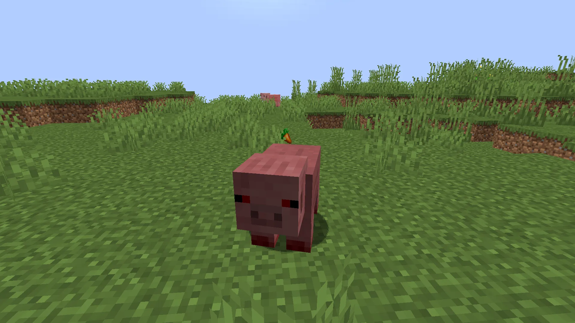 More Pigs, Моды, Minecraft