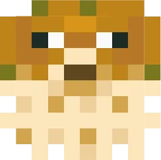 Pump Fun, Моды, Minecraft