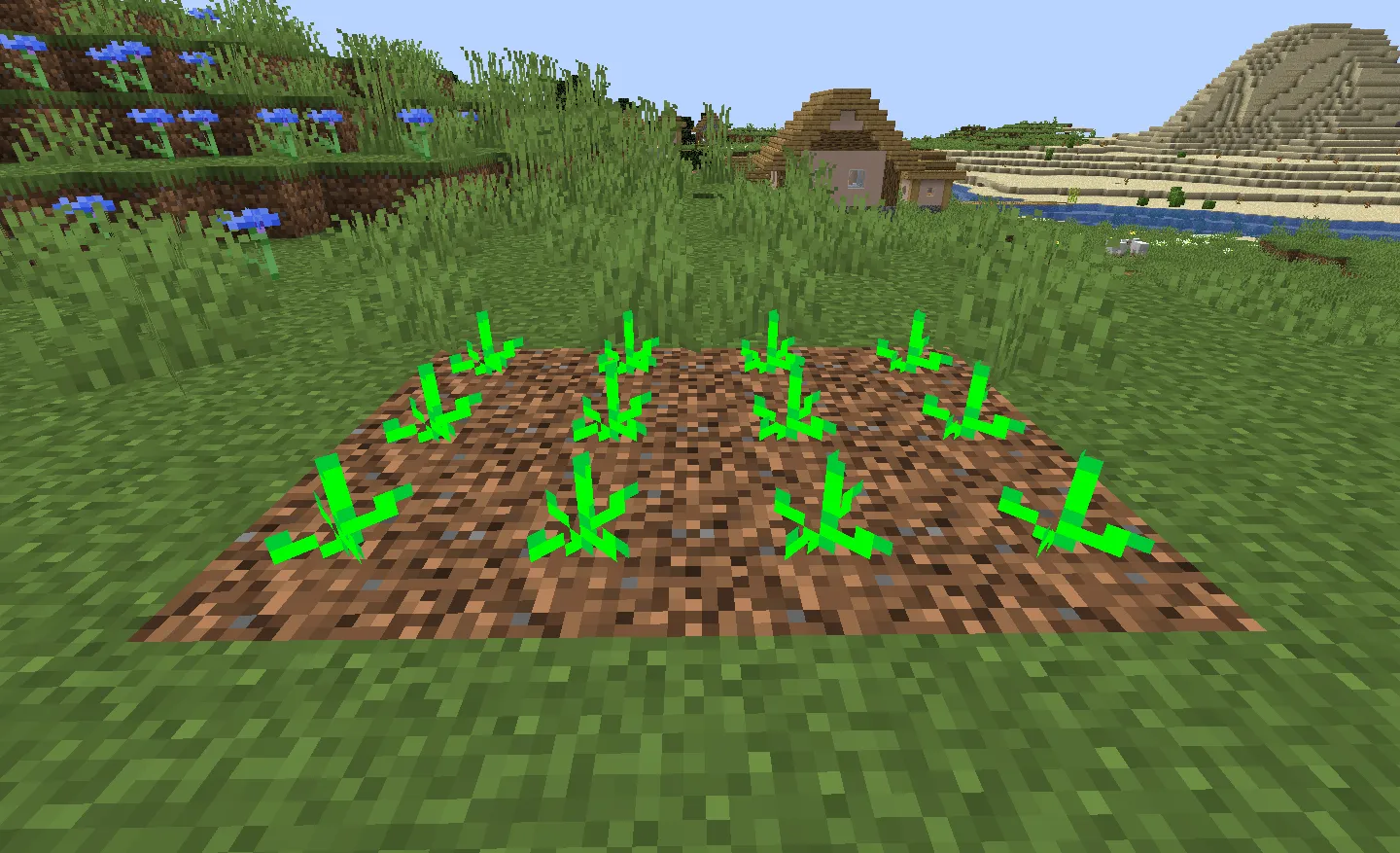 P Rolplay, Моды, Minecraft