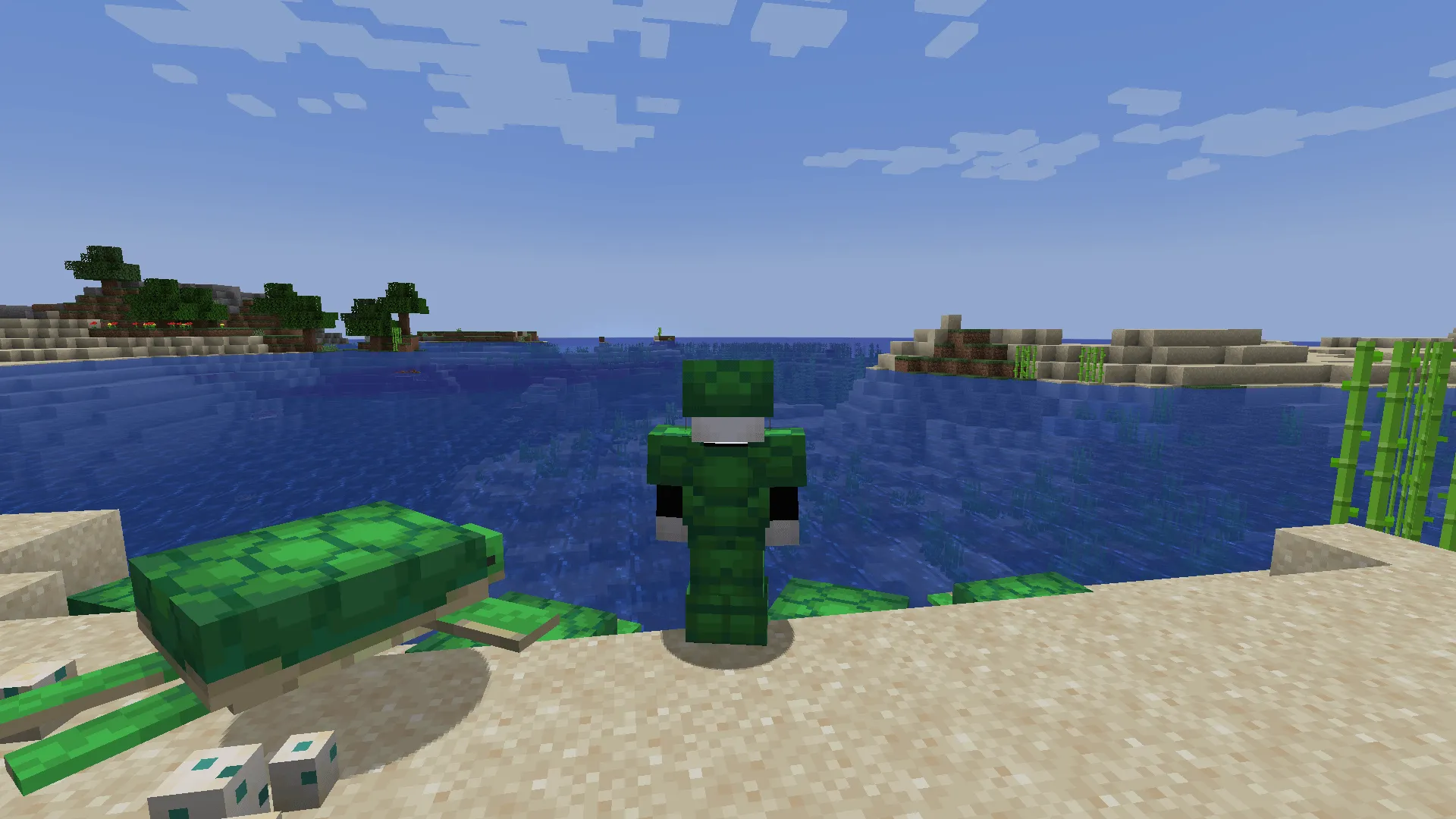 Torrezx-Turtle armor complete !, Текстуры, Minecraft