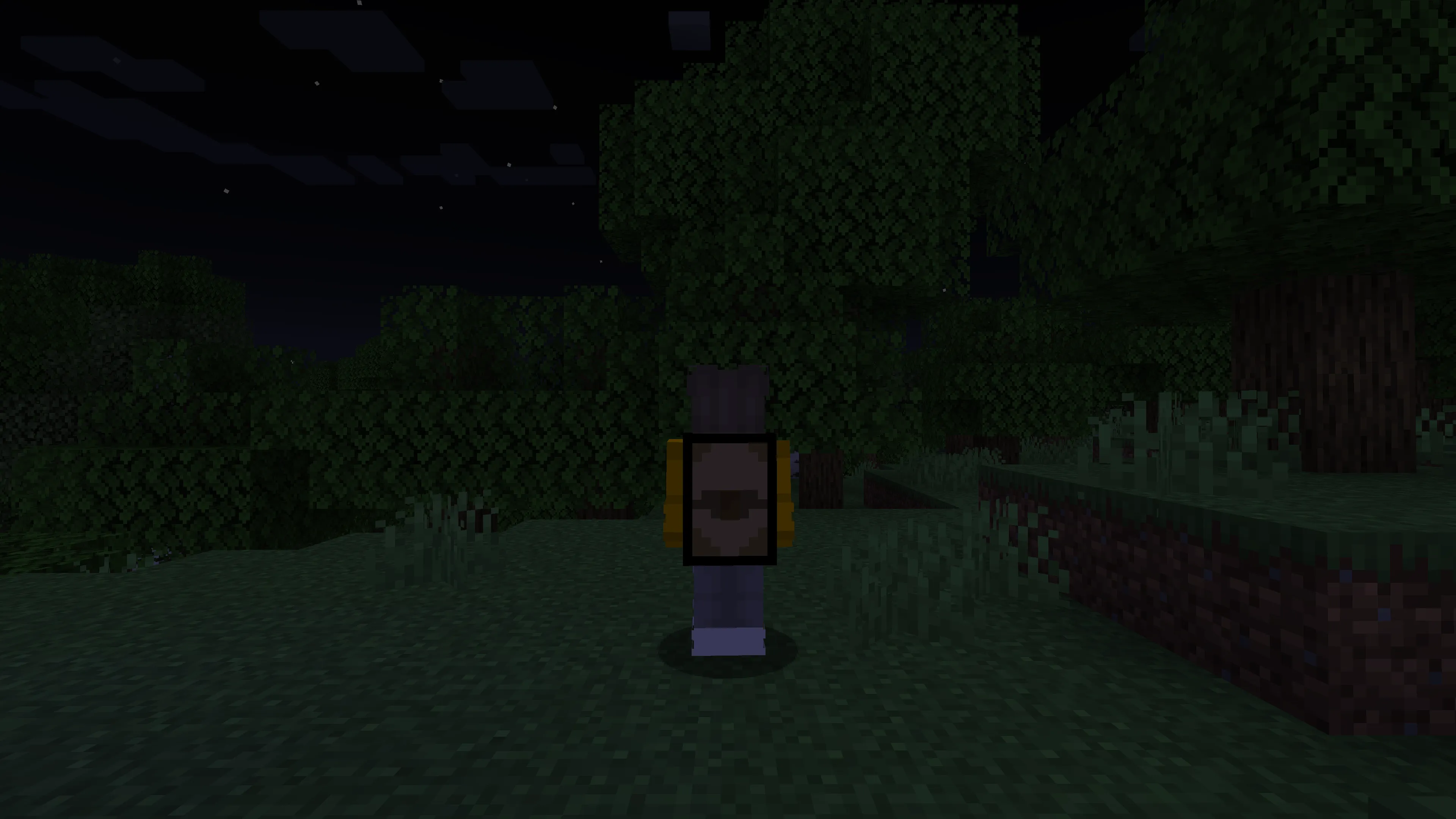 Timmothy's Backpacks!, Моды, Minecraft