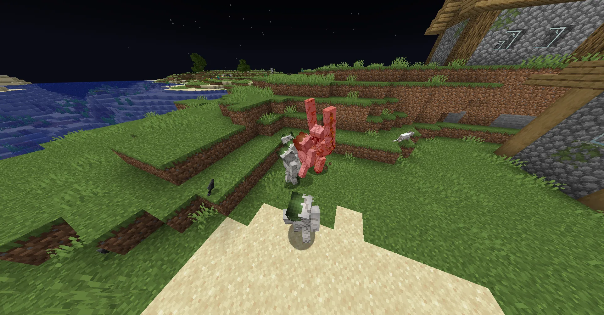 Naruto's Victory, Моды, Minecraft