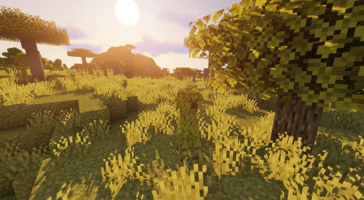 Creepers 303, Текстуры, Minecraft