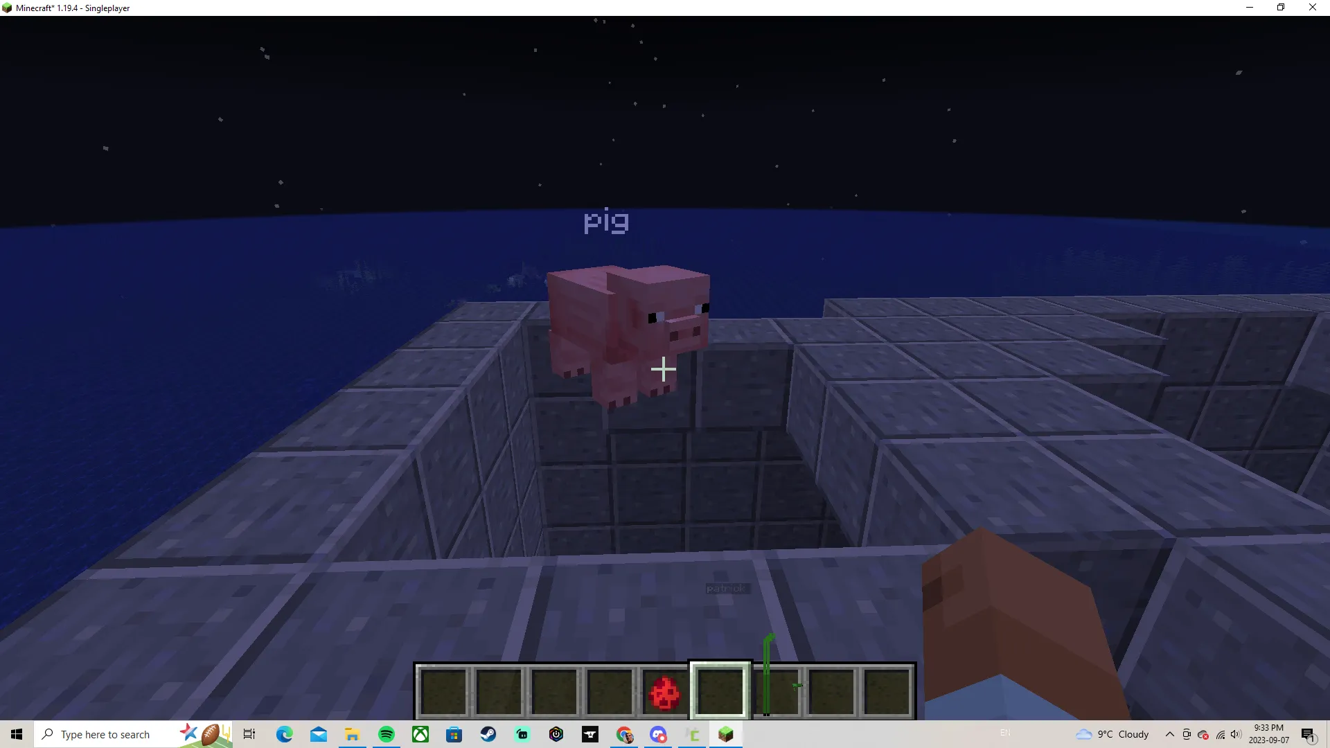 THE SHREKK , Моды, Minecraft