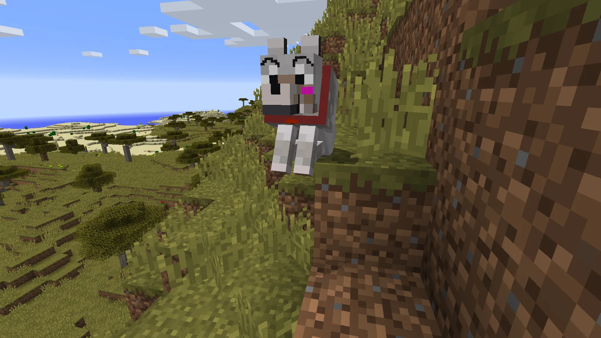 crazy_cats texture pack, Текстуры, Minecraft