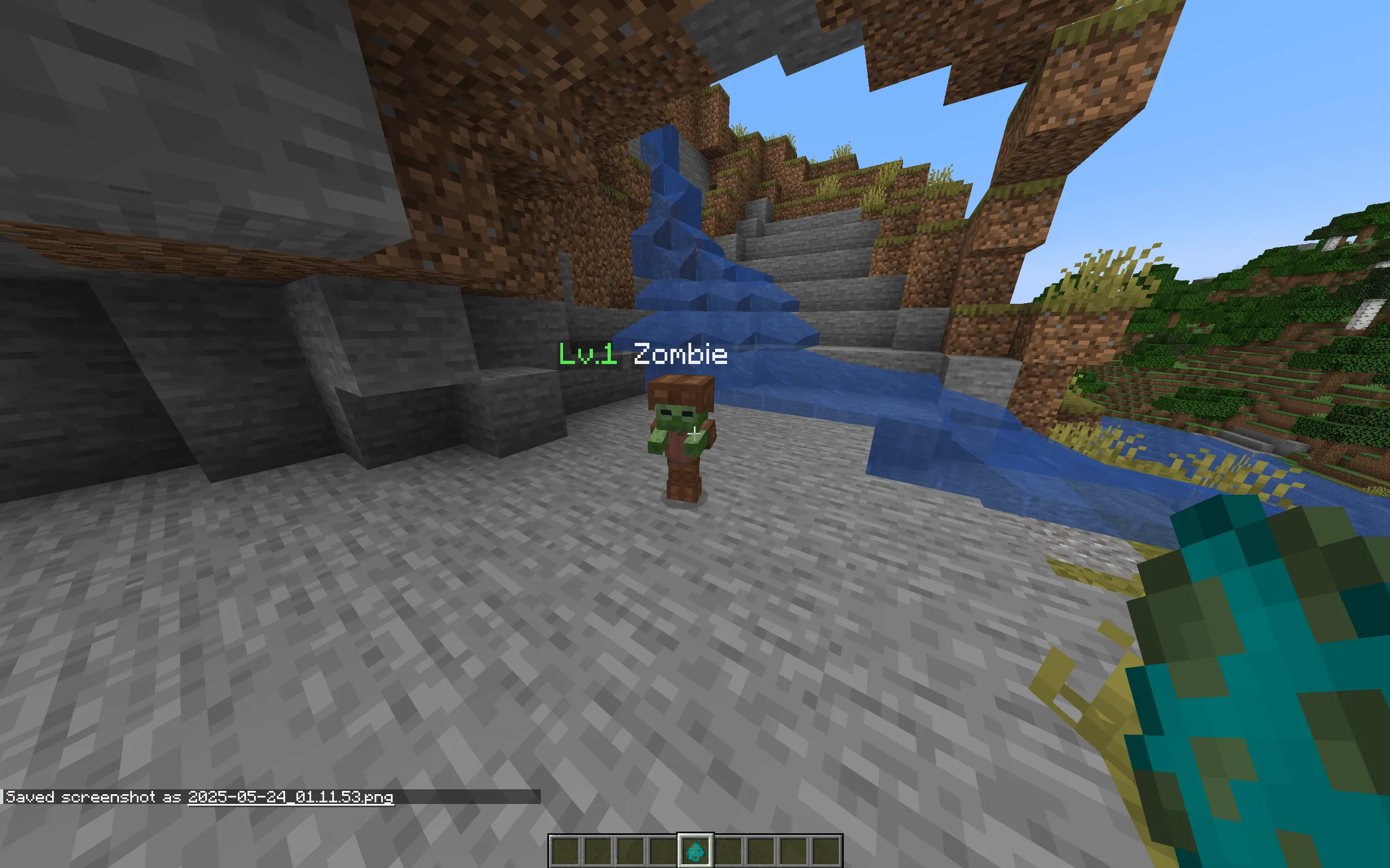 Random Mob Levels, Моды, Minecraft