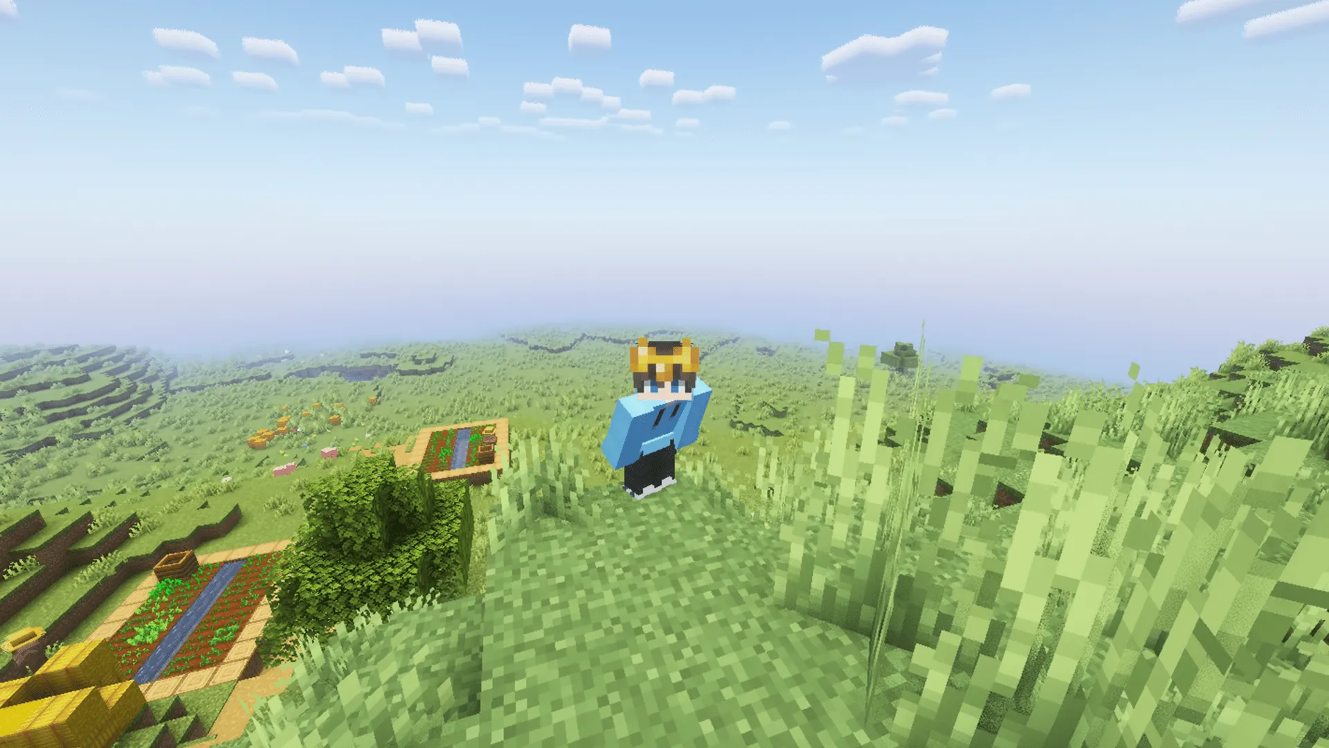 Baked Blocks: Potato+ — скриншот 3 (Текстуры, Minecraft)