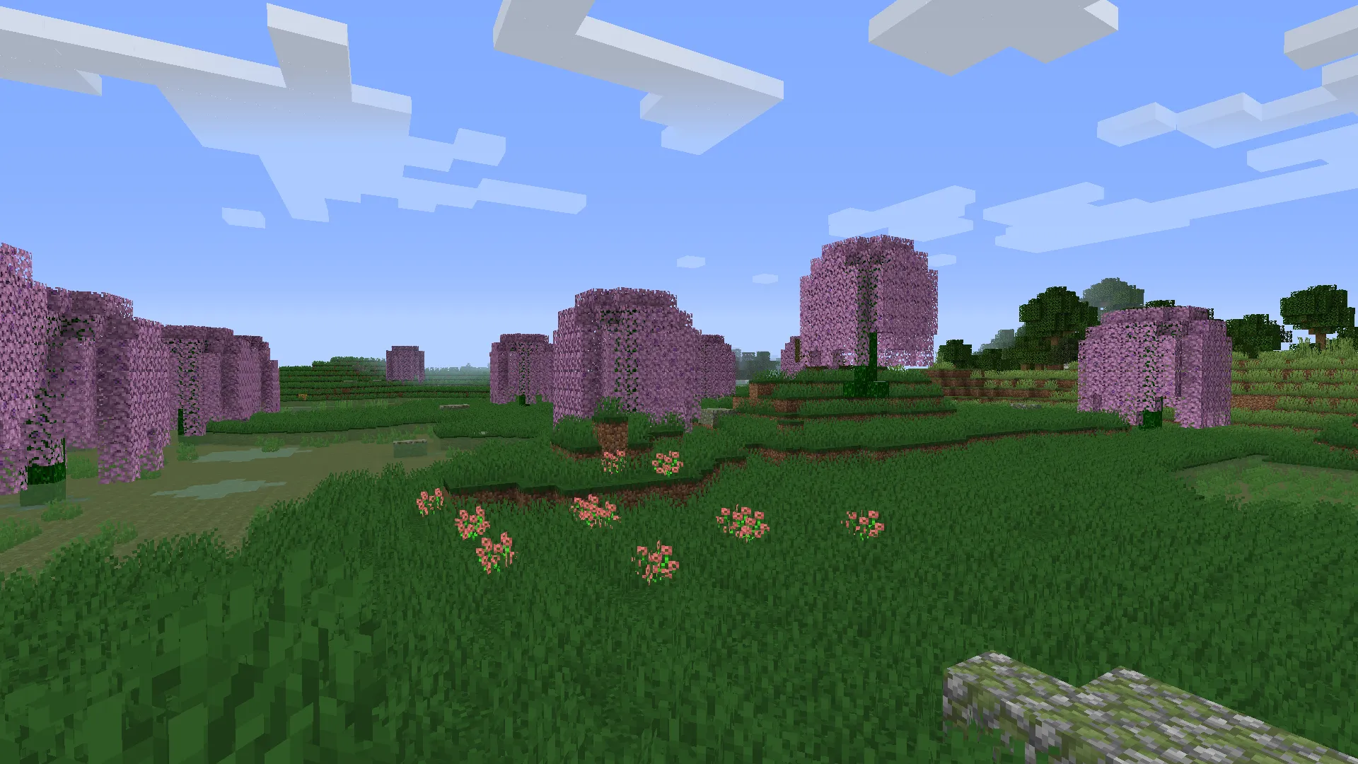 Swamp Biomes, Моды, Minecraft