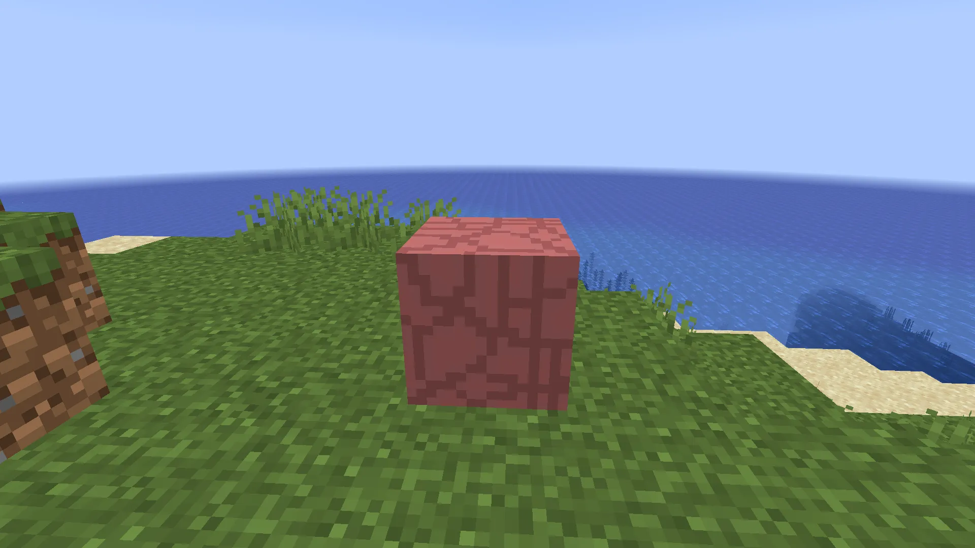 Refused Nether, Моды, Minecraft