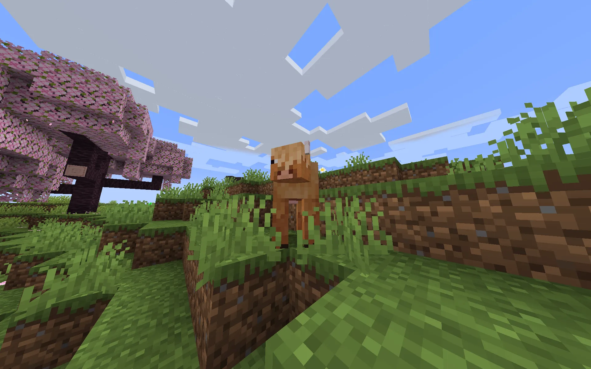 Sorvia (Cancelled), Моды, Minecraft