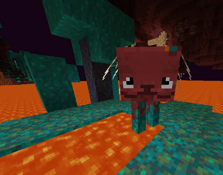 The Cutest Striders, Текстуры, Minecraft