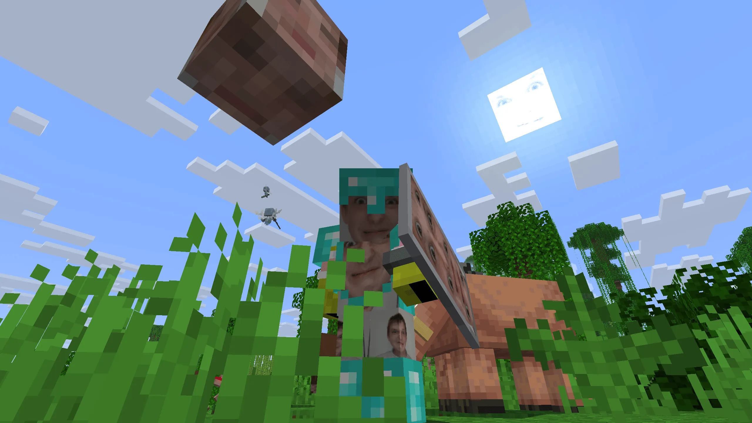 Roman, Текстуры, Minecraft