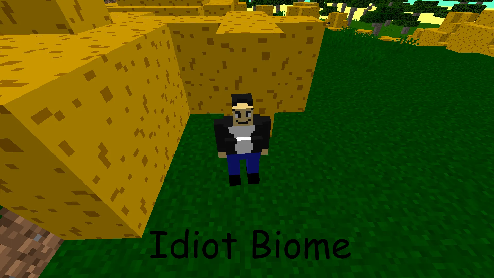 Meme Dimensions — скриншот 10 (Моды, Minecraft)