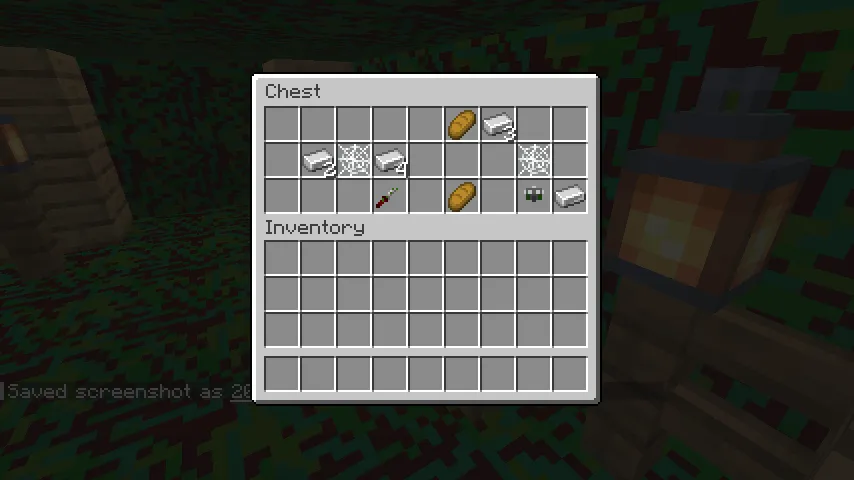 More Biomes, Моды, Minecraft