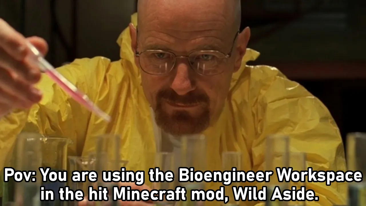 Wild Aside, Моды, Minecraft