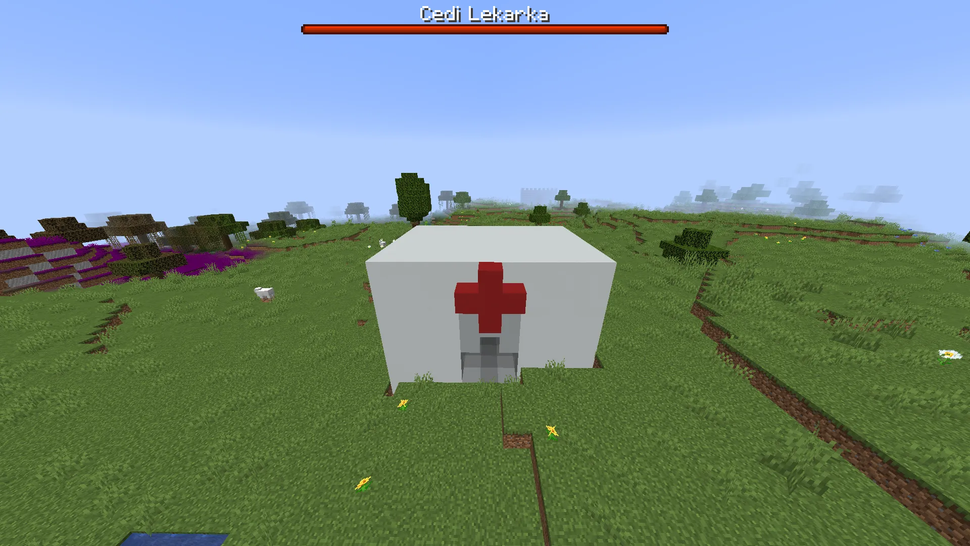 MadgeCedi, Моды, Minecraft