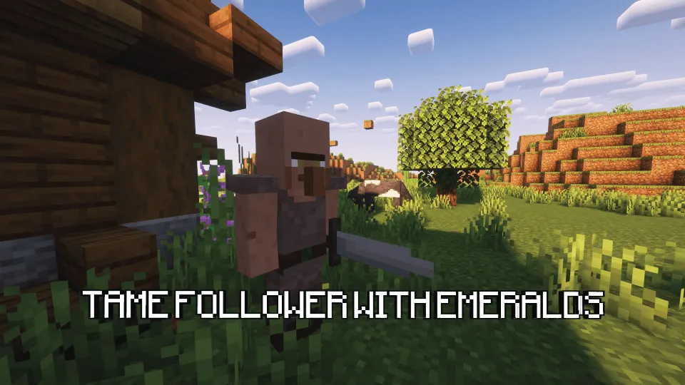 The Follower Mod, Моды, Minecraft