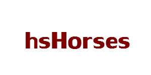 hsHorses — скриншот 7 (Плагины, Minecraft)