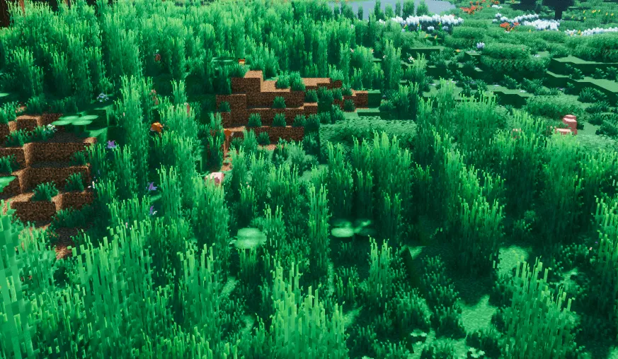 My Biome Is So Beautiful, Модпаки, Minecraft