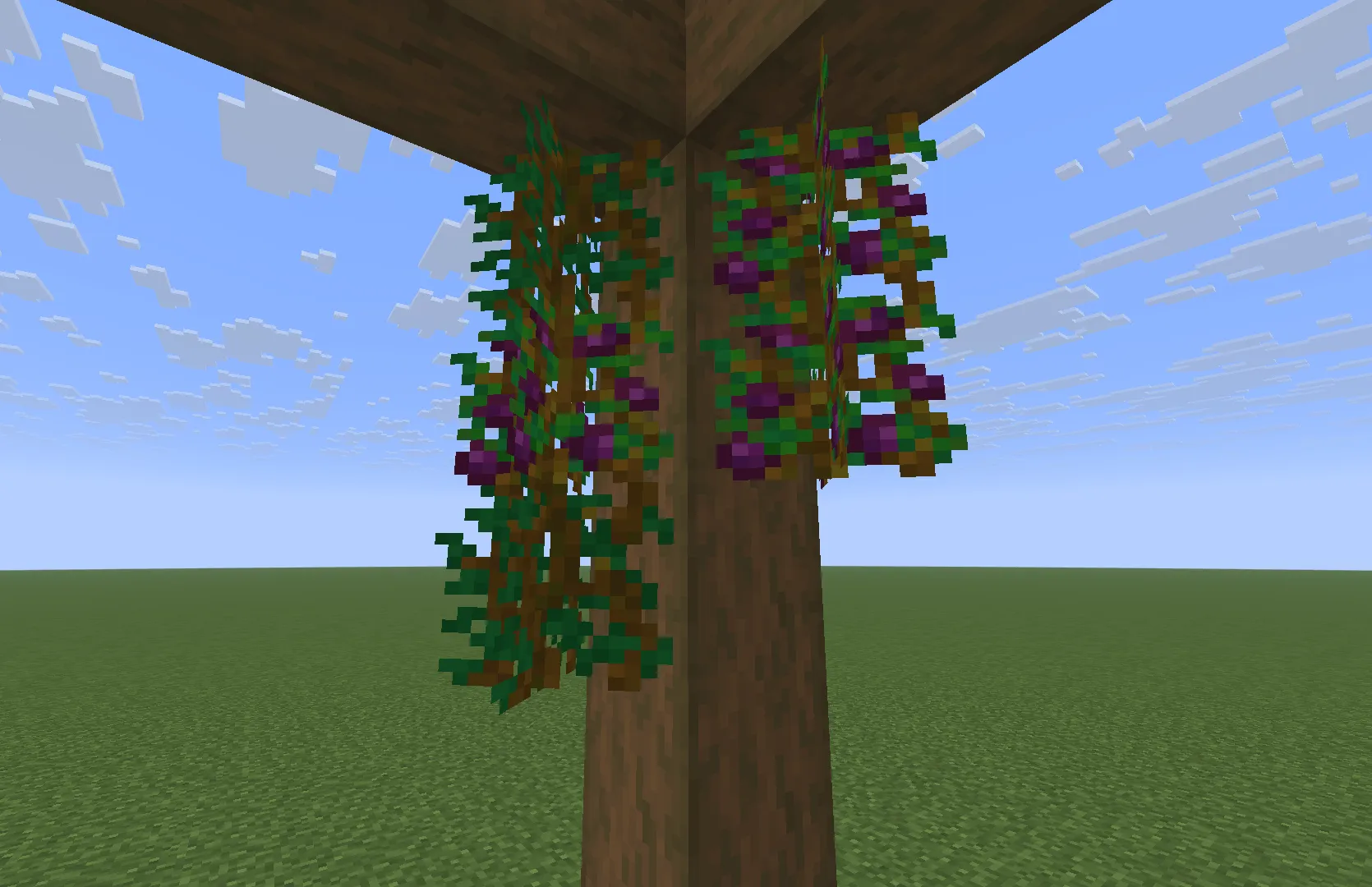 Mama's Herbs and Harvest — скриншот 17 (Моды, Minecraft)