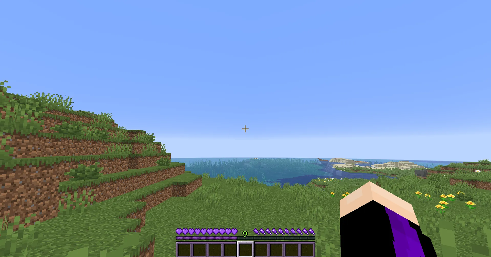 NotEnoughPurple, Текстуры, Minecraft