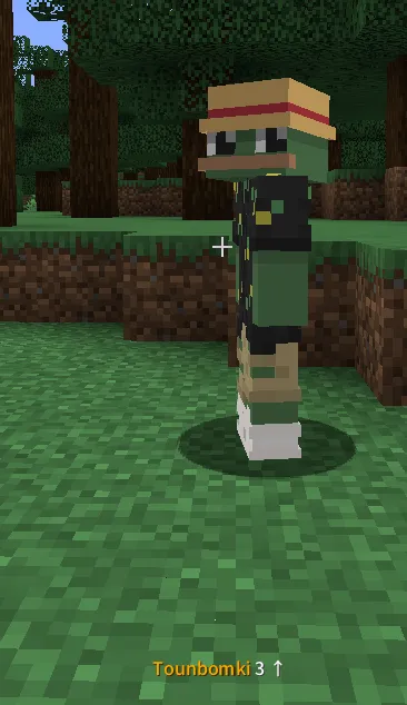 Laamh Tracker, Моды, Minecraft