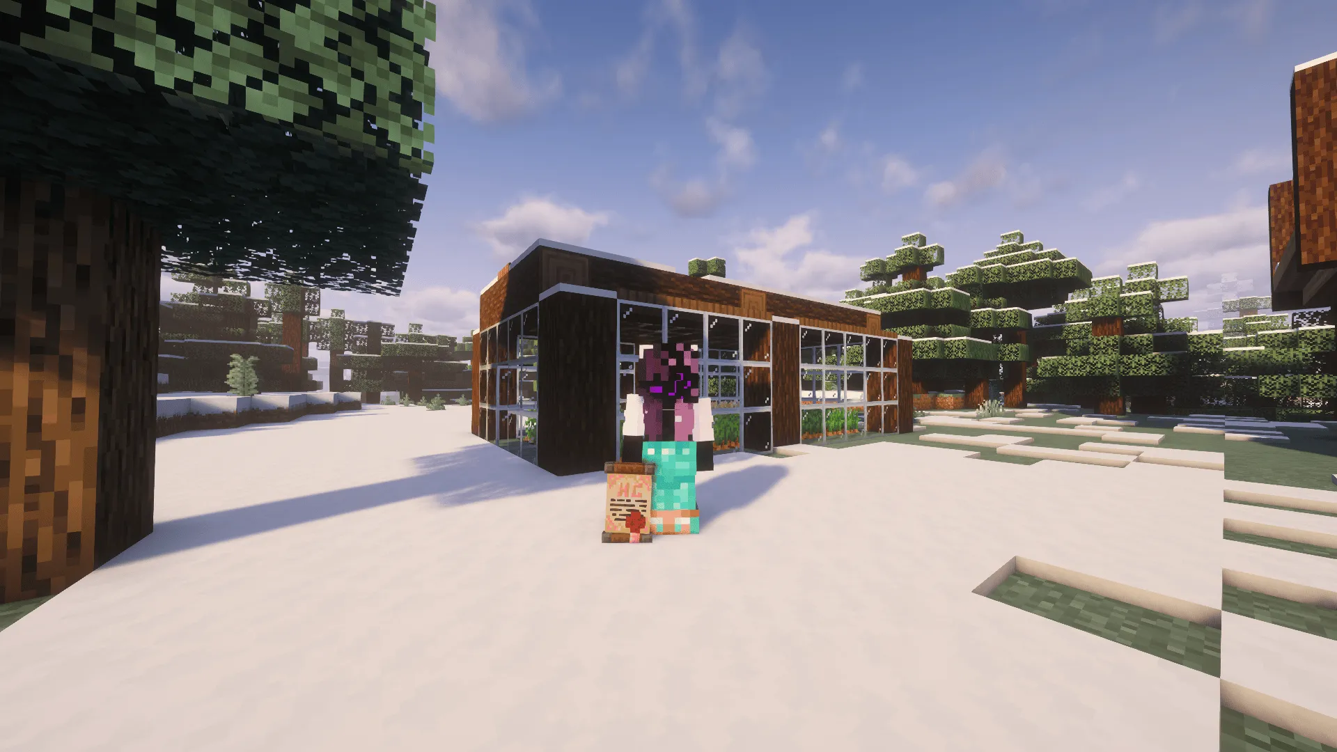 Axo's Custom Models, Текстуры, Minecraft