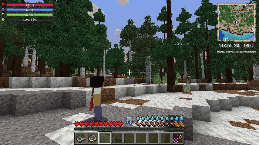 Bladeborne - Medieval Soulslike — скриншот 5 (Модпаки, Minecraft)
