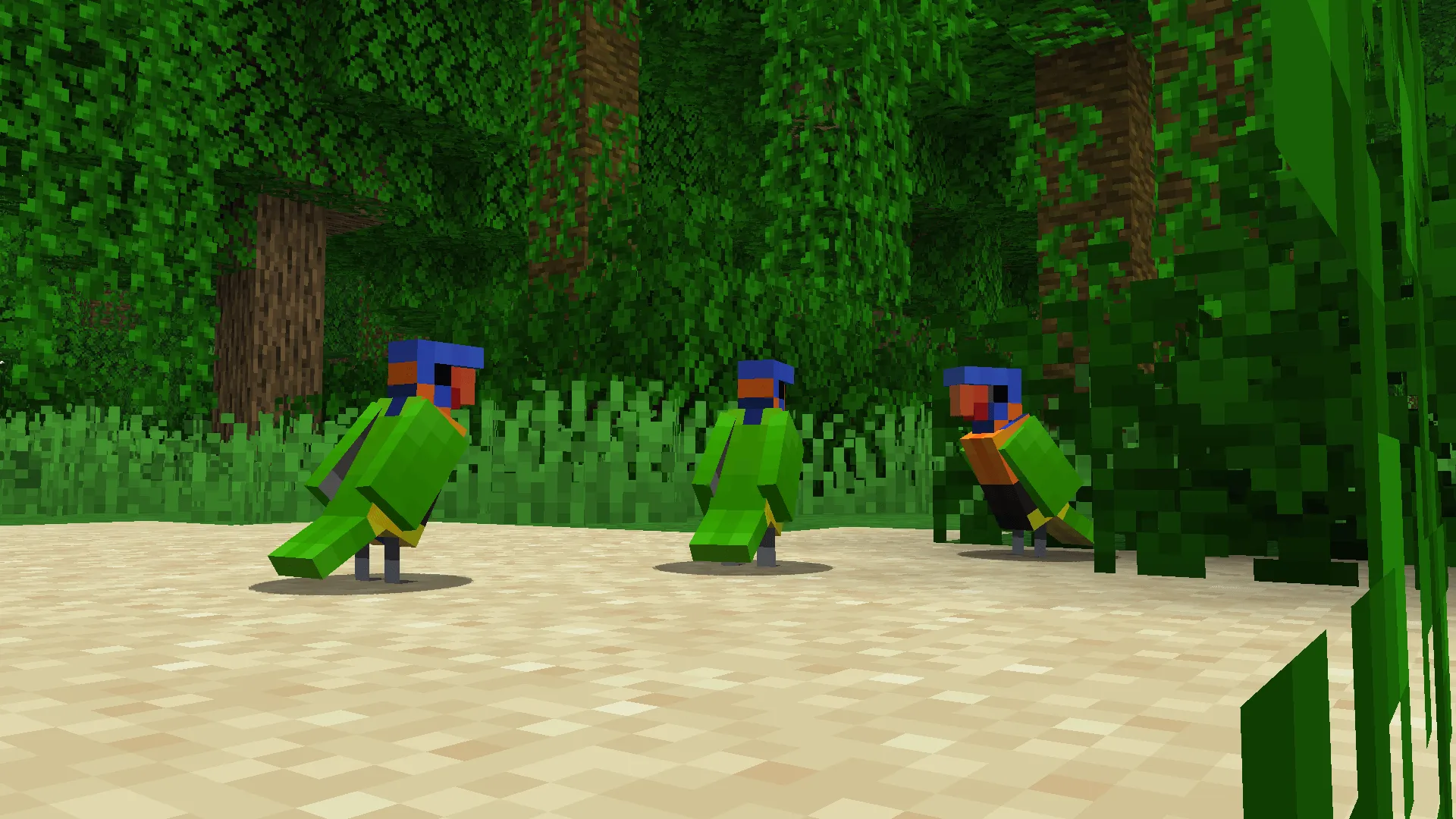 Aussie Parrots — скриншот 5 (Текстуры, Minecraft)