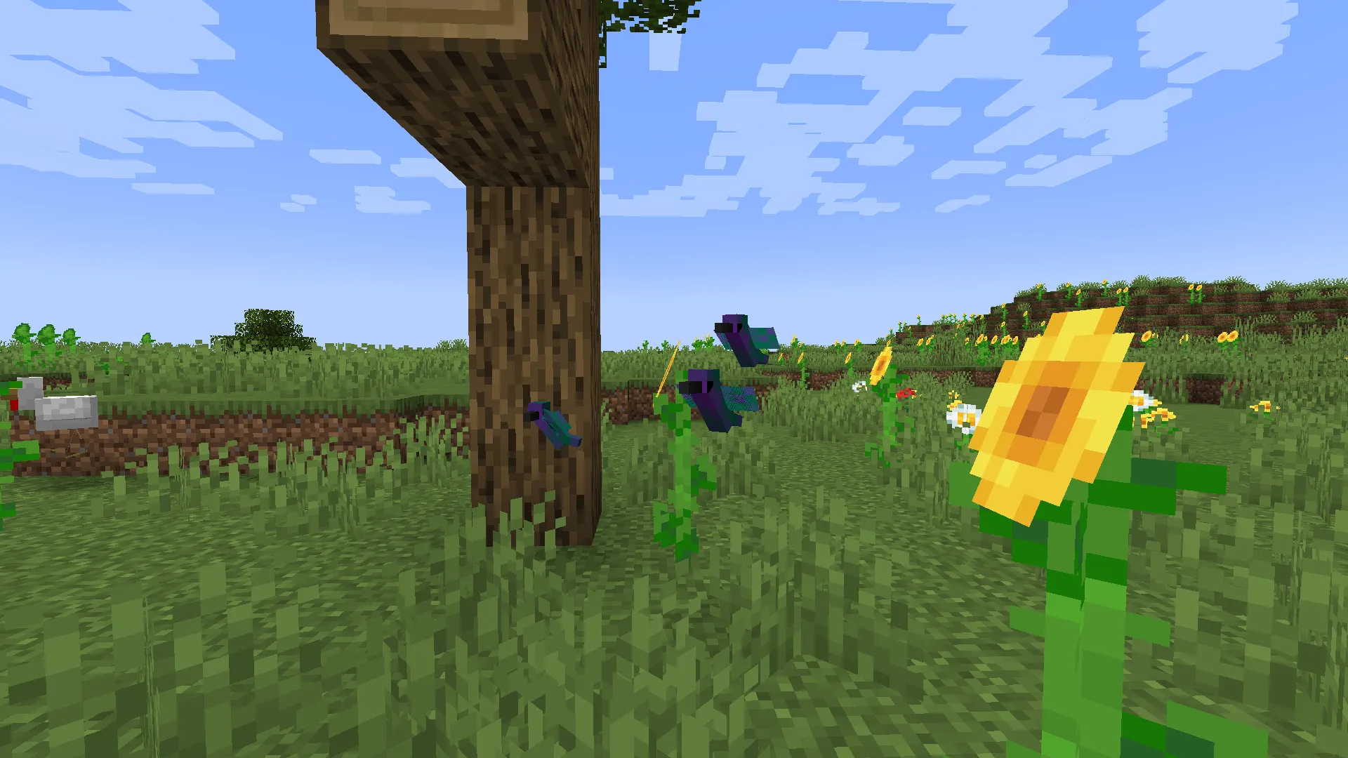 Katt's Ornithology, Моды, Minecraft