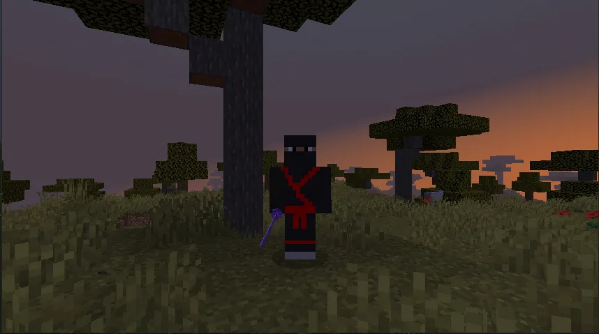 Ninja Warrior, Моды, Minecraft