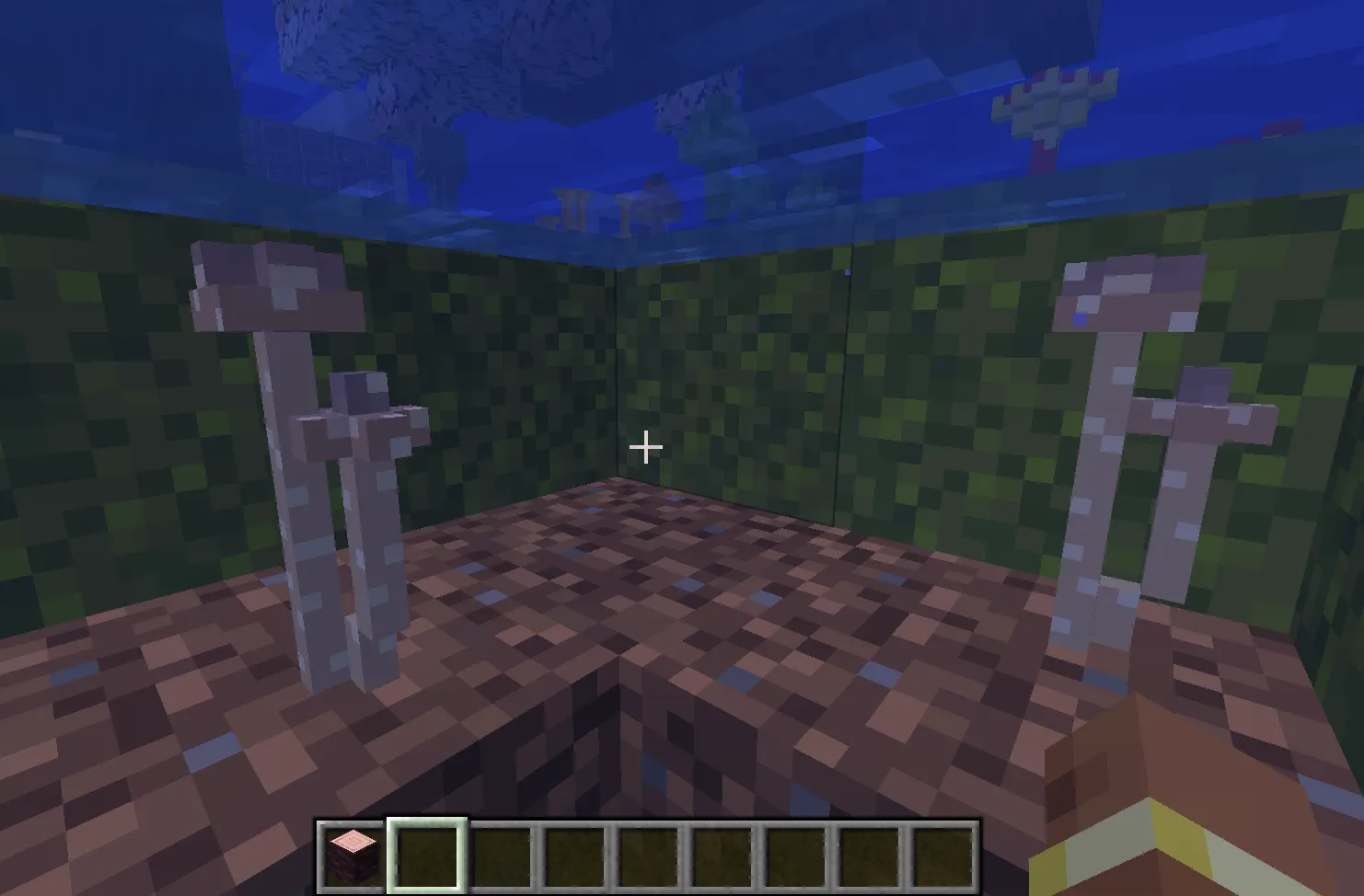 Fungology, Моды, Minecraft