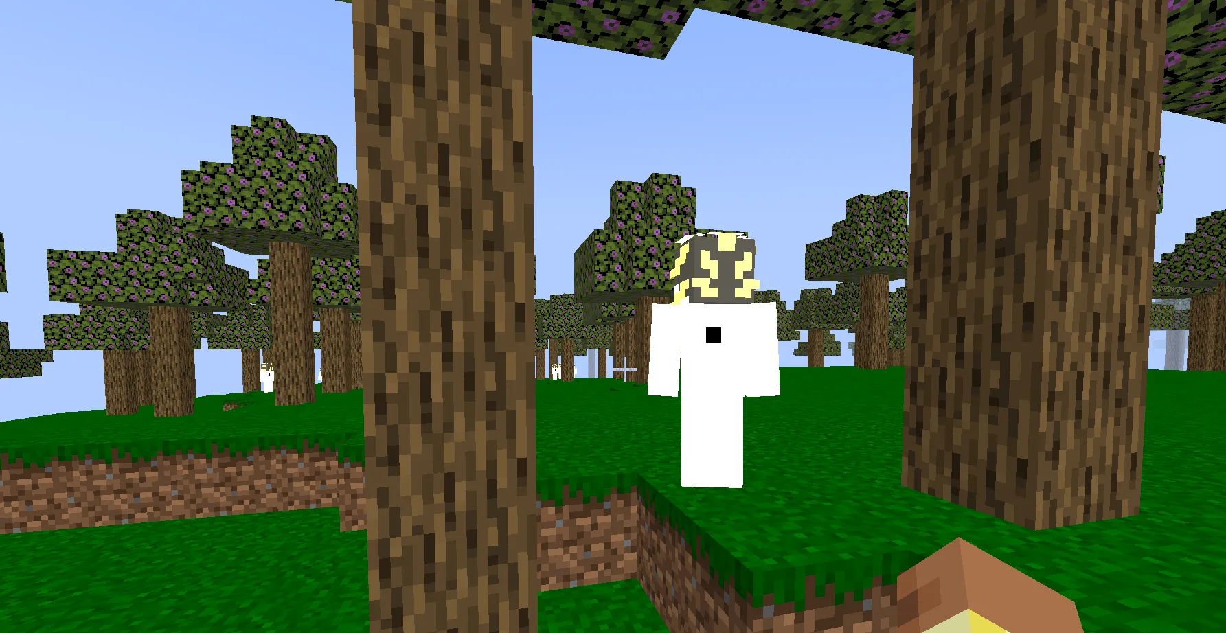 Powers Of The Soul, Моды, Minecraft